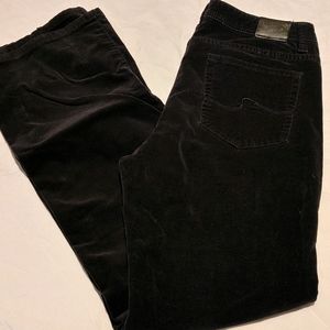 US Polo Assn. Black Velvet pants